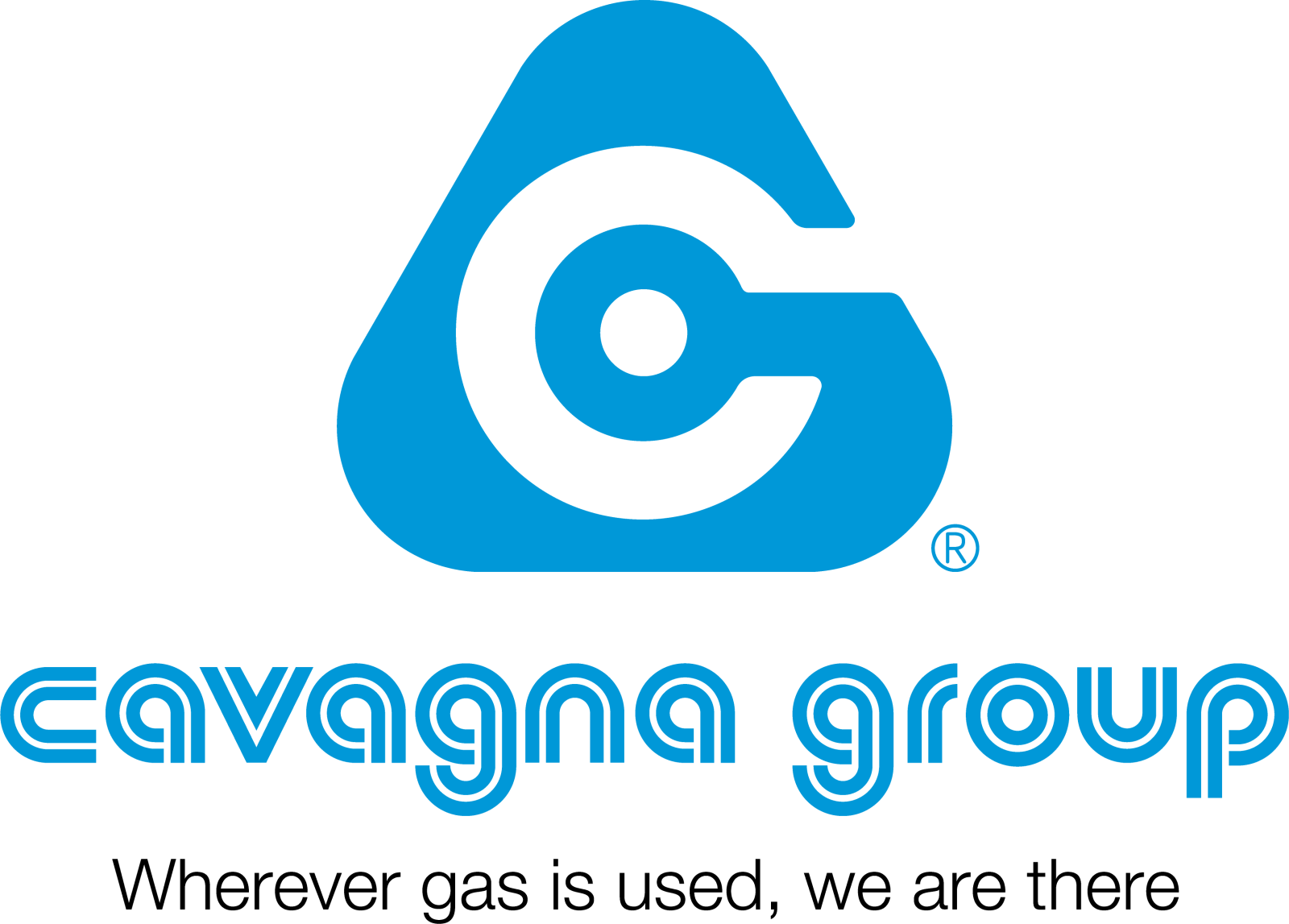 Logo Cavagna Group Spa 