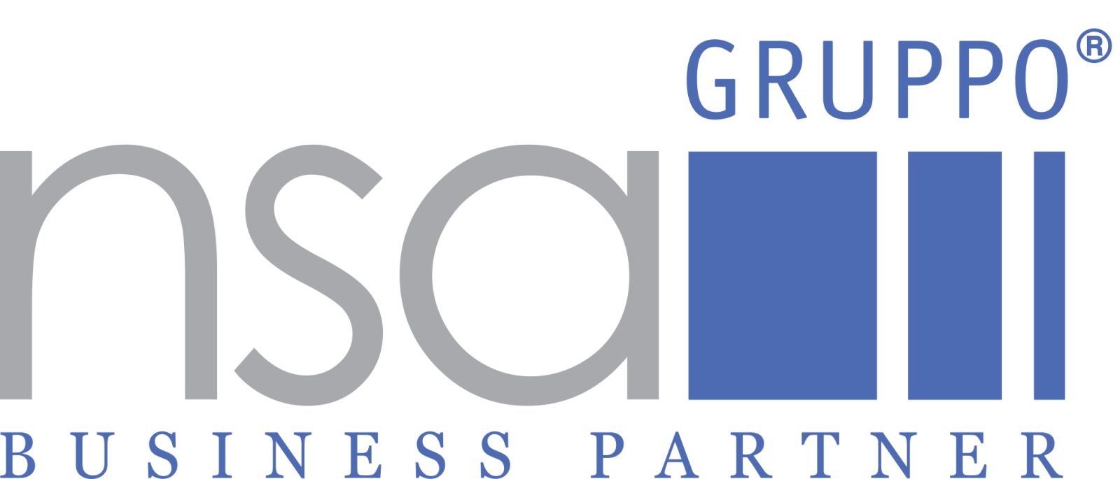 Logo GRUPPO NSA