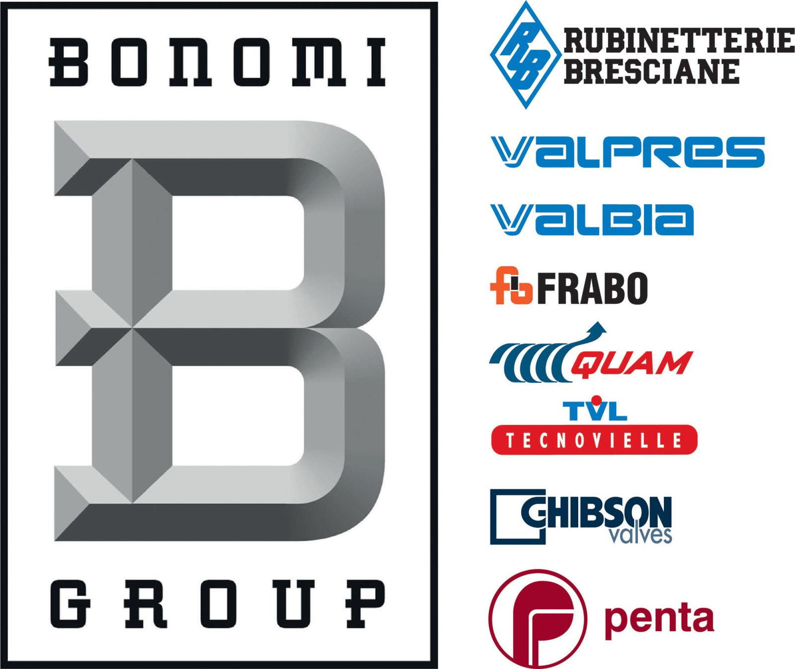 Logo BONOMI GROUP S.p.A.