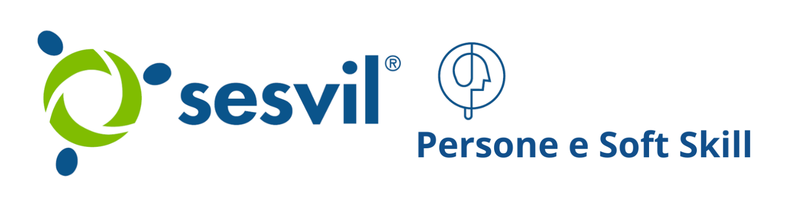 Logo SESVIL SRL