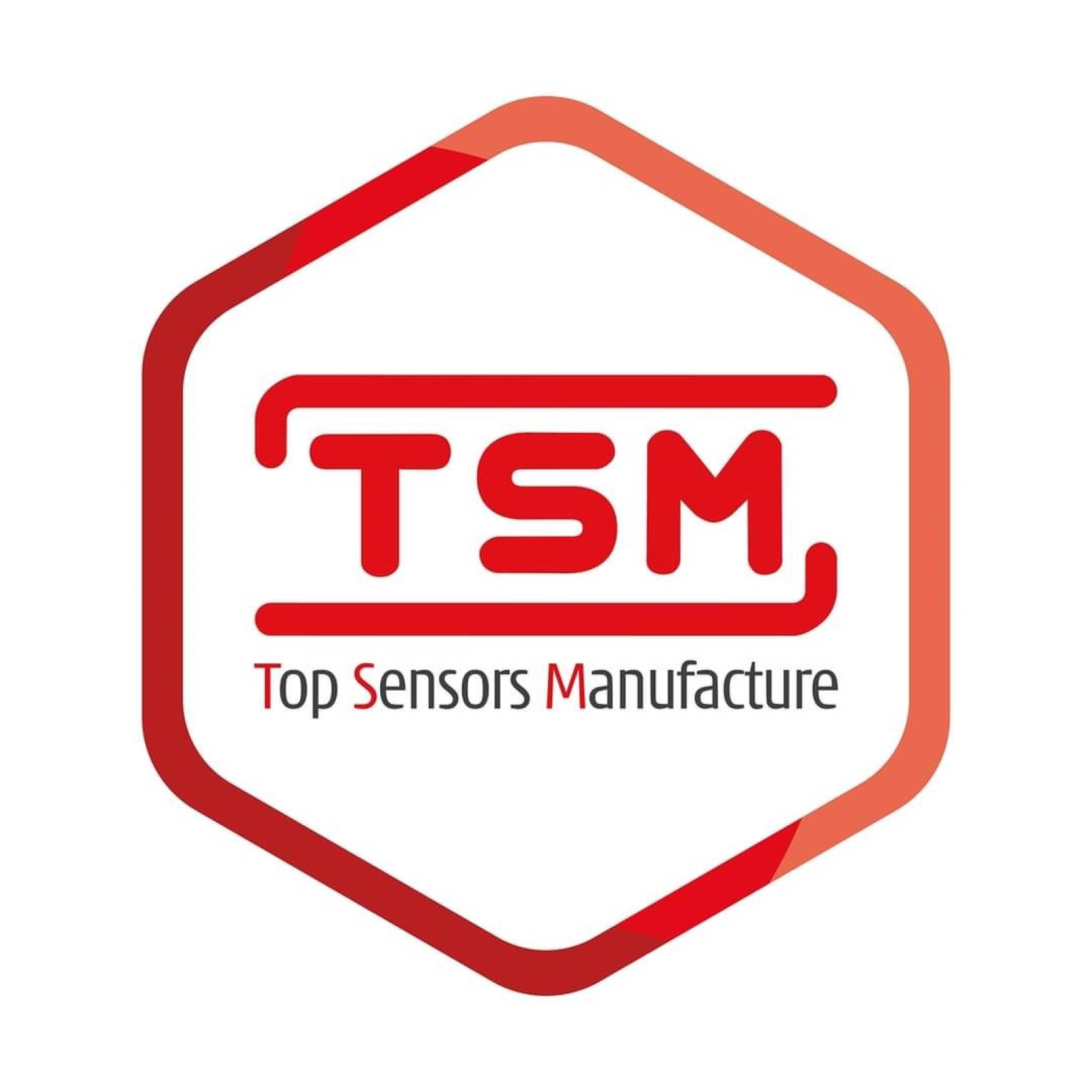 Logo TSM SENSORS SRL